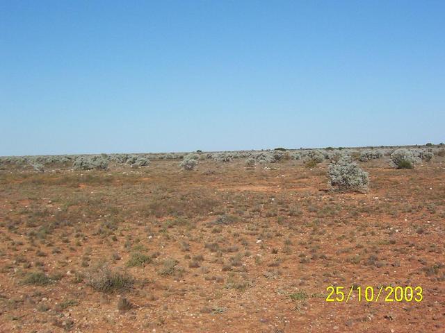 Looking east from cp