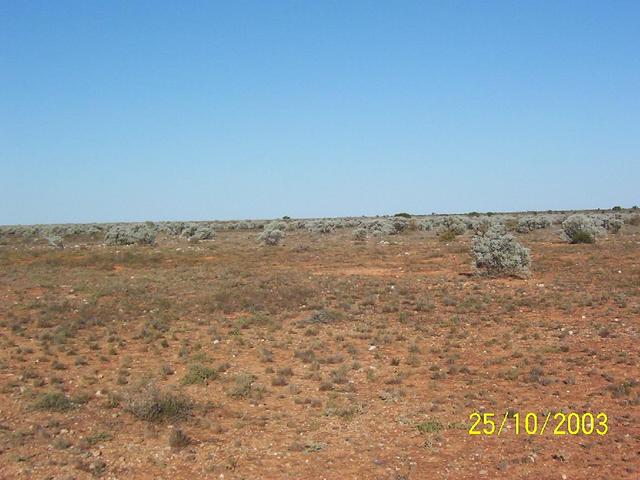 Looking east from cp