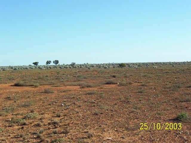 Looking south from cp