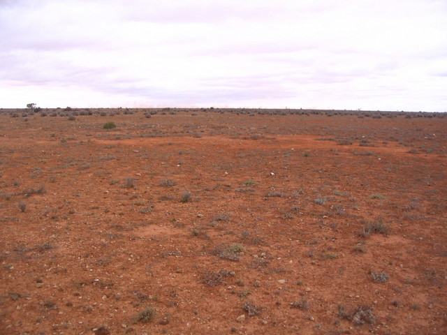 Looking East