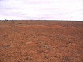 #3: Looking East