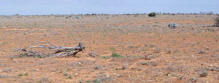 #1: General View of the Confluence Area