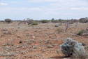 #5: Looking West from the Confluence