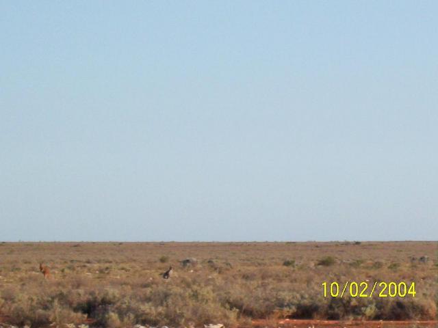 Looking south from cp with some of the local wildlife