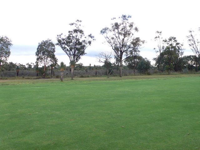 Looking West from S32 E116