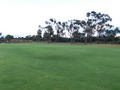 #3: Looking South from S32 E116