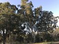 #5: View to the north from the confluence.