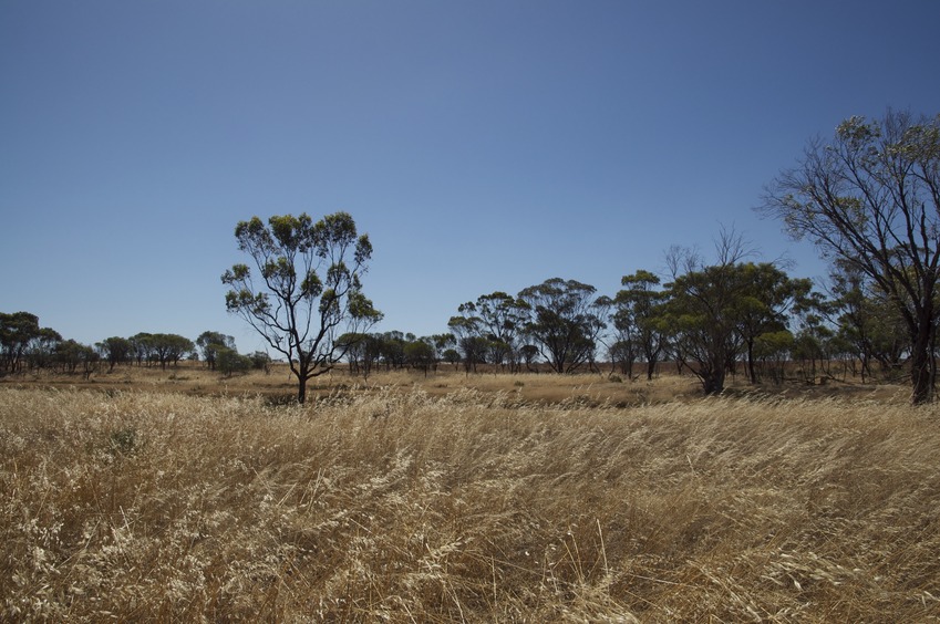 View West (across the dry creek, to Northbourne Road)