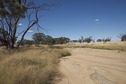 #7: A closeup view of the dry creek bed, near the confluence point