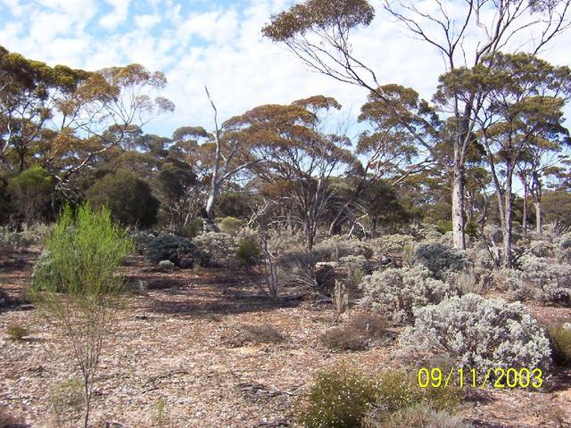 Looking south