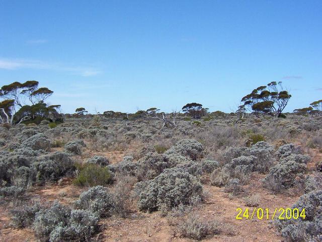 Looking east from the confluence