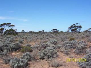 #1: Looking east from the confluence