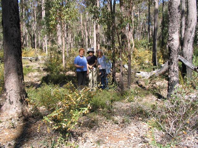 Sue, Dawn & Nanna at the CP