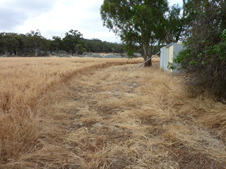 #1: Confluence point with the bush to the right. In the background the large rocks