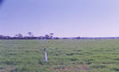 #2: A westerly view with clear blue skys and green crop.