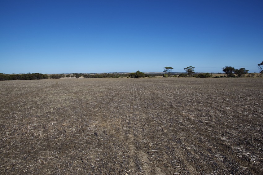 View East (towards a small irrigation pond)