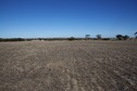 #4: View East (towards a small irrigation pond)