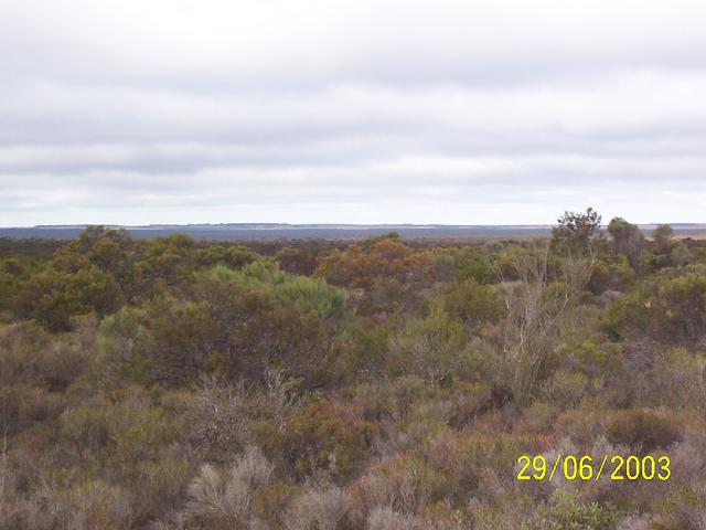 South towards Rabit Proof Fence and farming land