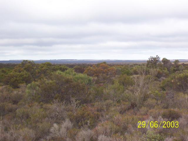 South towards Rabit Proof Fence and farming land