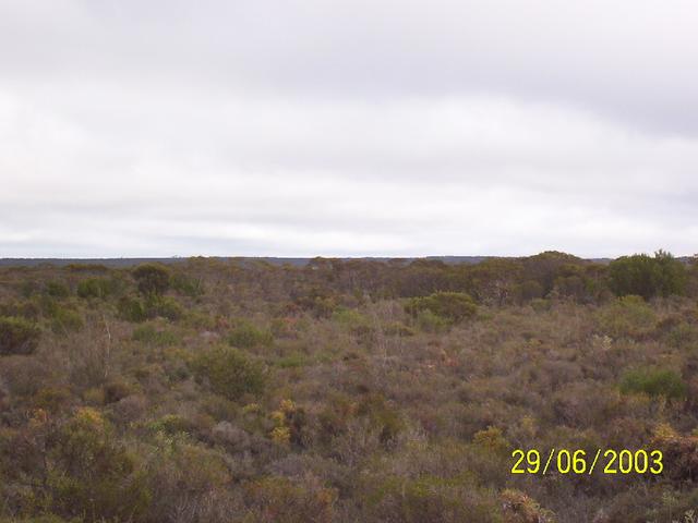 West from CP