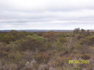 #1: South towards Rabit Proof Fence and farming land