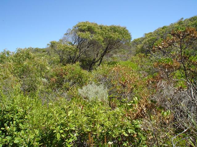 West from confluence point