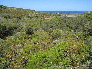 #1: Confluence point in centre left with road, sewage treatment plant, and Indian Ocean in background