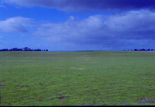 The view to the north.  Or is it east?  Or... it all looks the same around here
