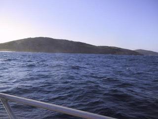 #1: Confluence point looking north to Gunton Island