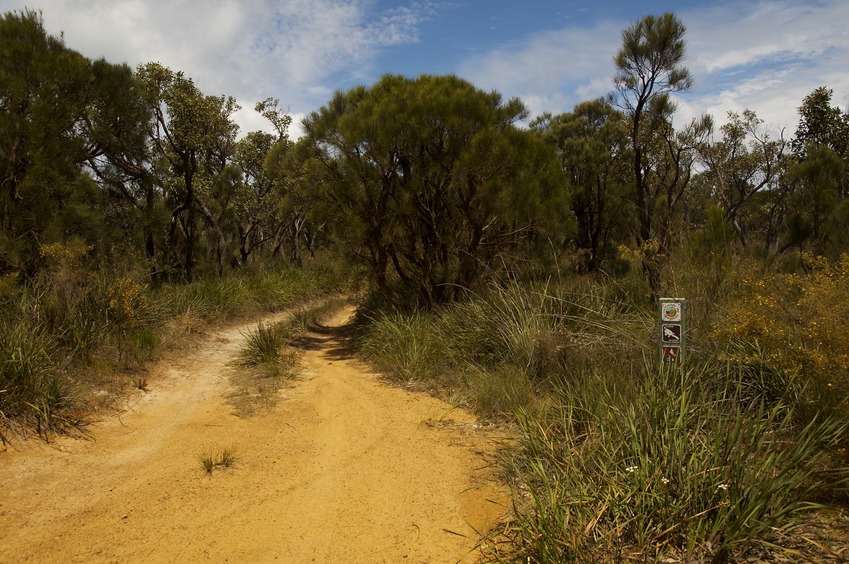 The start of the path that leads towards the confluence point