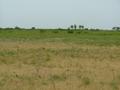 #2: North view