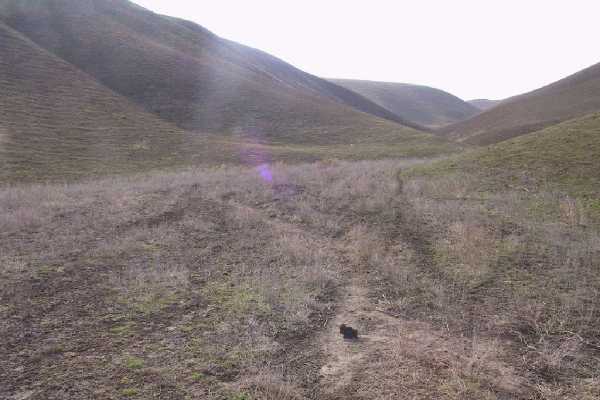 Looking S from the confluence to Mishov Dag anticline