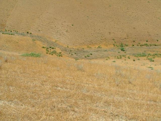 The confluence is at the bottom of this valley