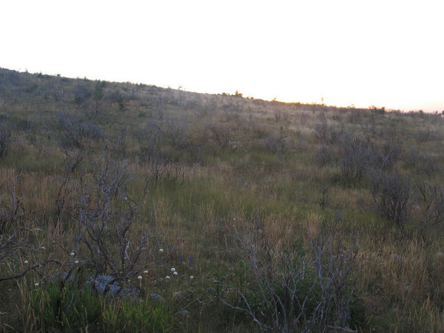 West view.