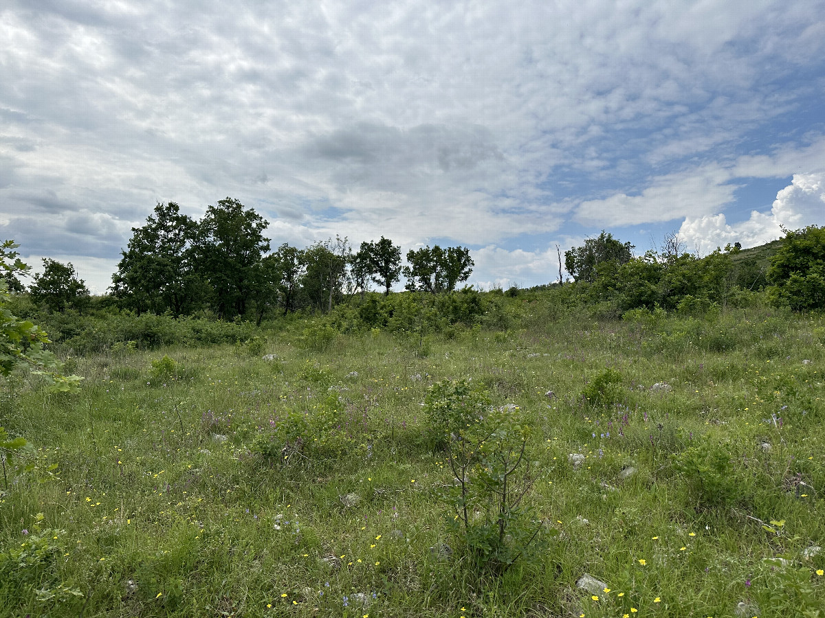 View to the South