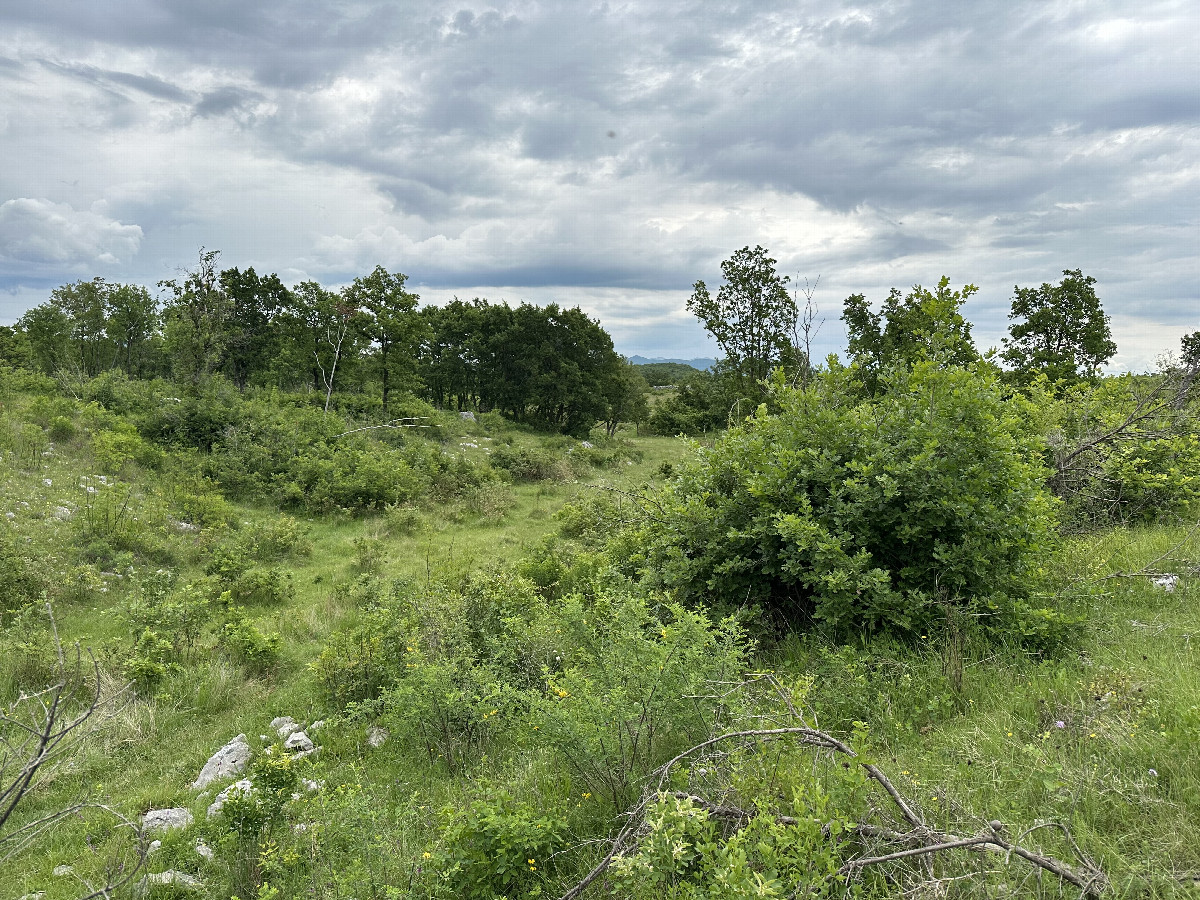 View to the East