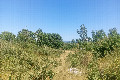 Visit #4: [13-Jul-24]