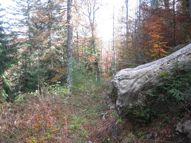 East view of confluence