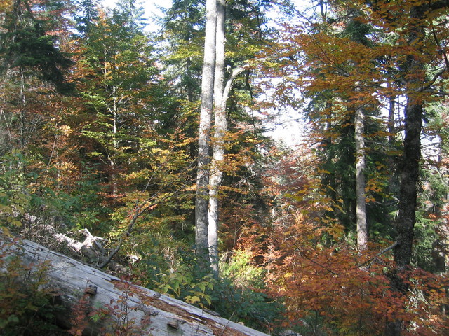 North and general view of confluence