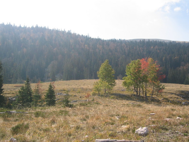 Confluence was 600 m (1800 ft) across the meadow and onto the hill