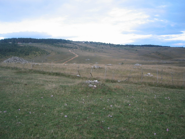 East view from confluence