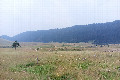 Visit #5: [18-Jul-24]