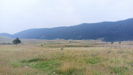 #1: South view