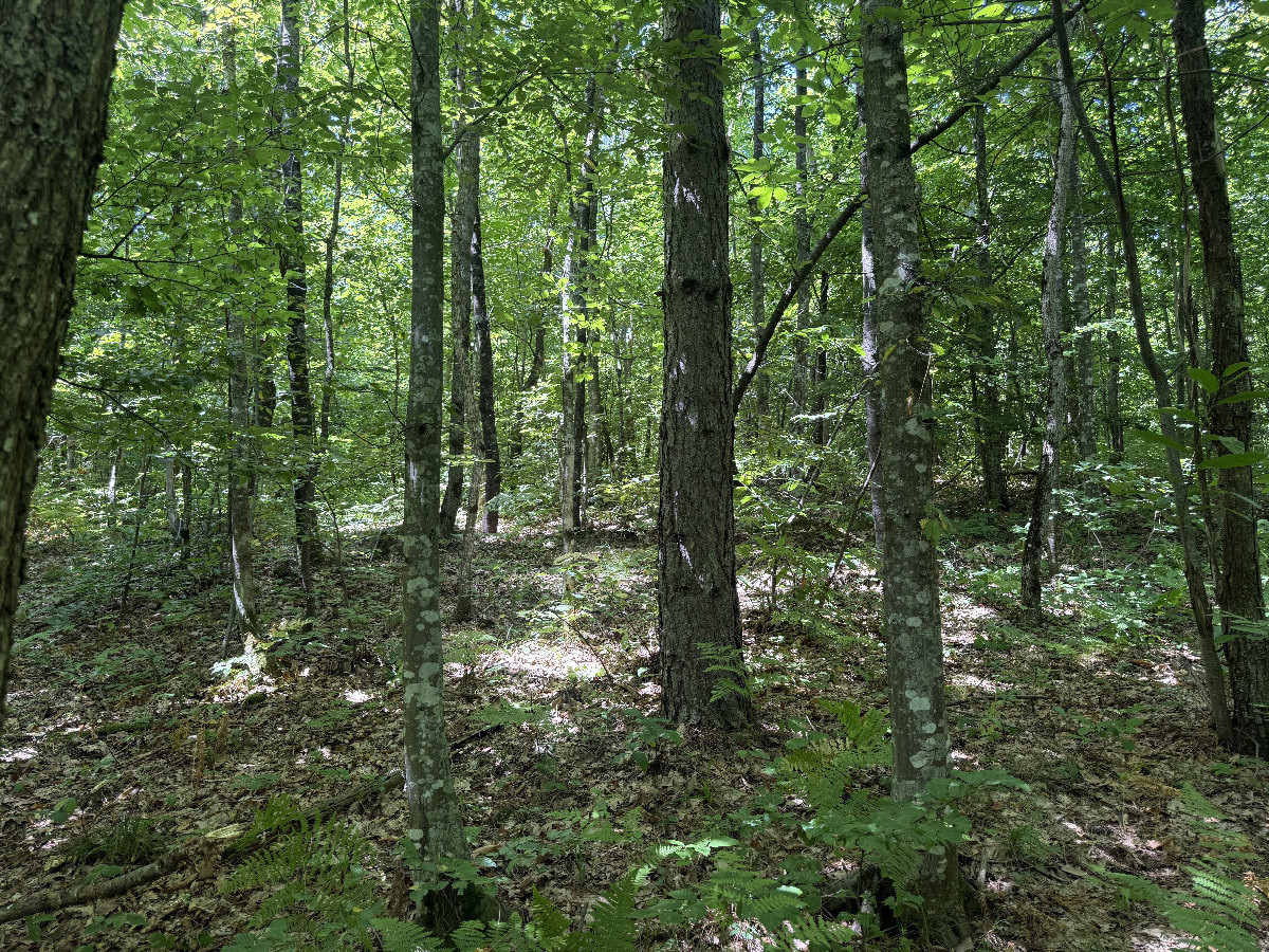 The confluence from 10m distance 