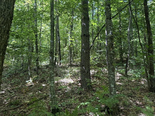 #1: The confluence from 10m distance 
