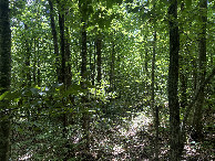 #2: View to the south 
