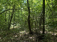 #3: View to the West
