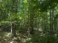 #4: View to the North