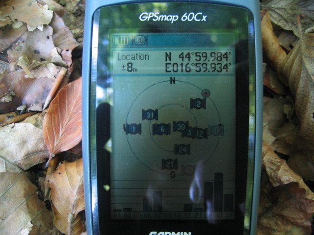 GPS view