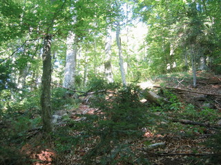 #1: North and general view of confluence